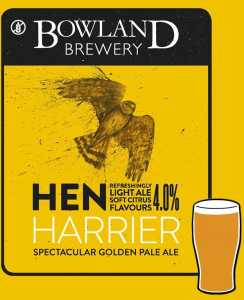 Hen Harrier